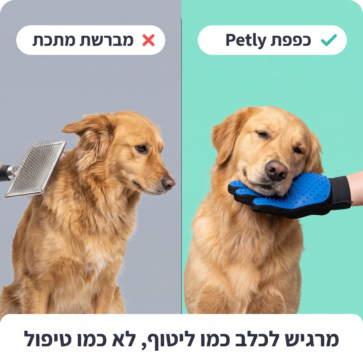 gloveInfoVs