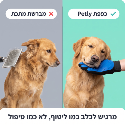 gloveInfoVs