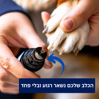 הכלב שלכם נשאר רגוע ובלי פחד — תקריב ראש השיוף