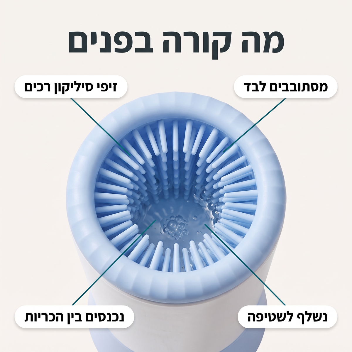 מה קורה בפנים · זיפי הסיליקון