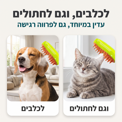 stmDogsCats