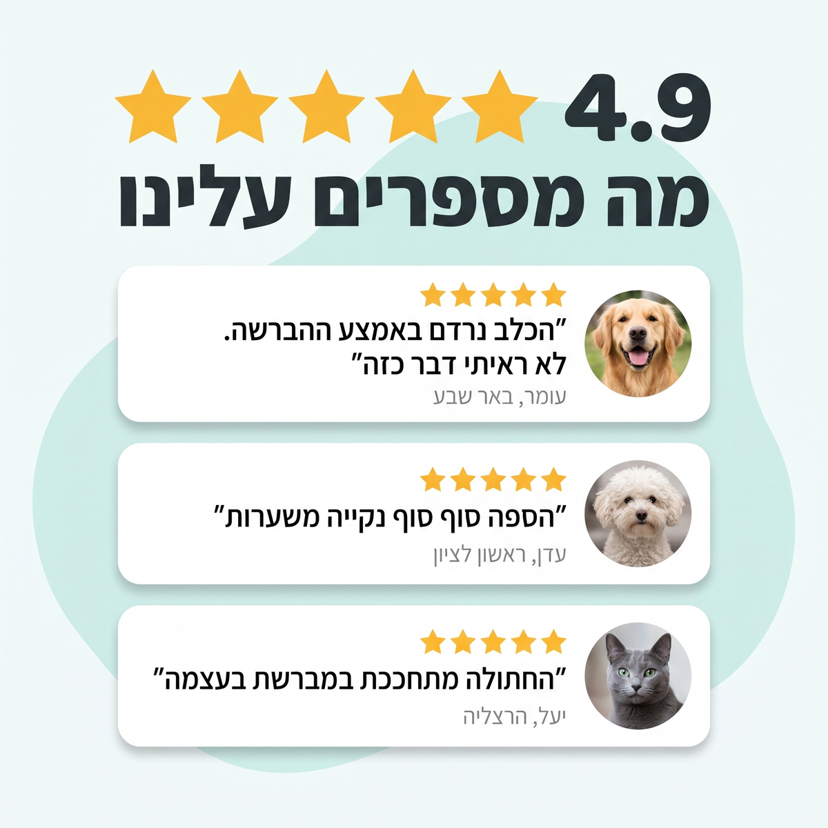 stmReviewsPets