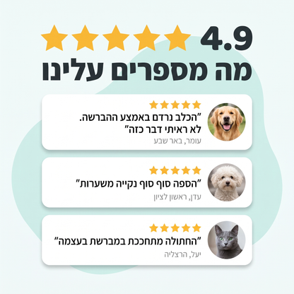 stmReviewsPets