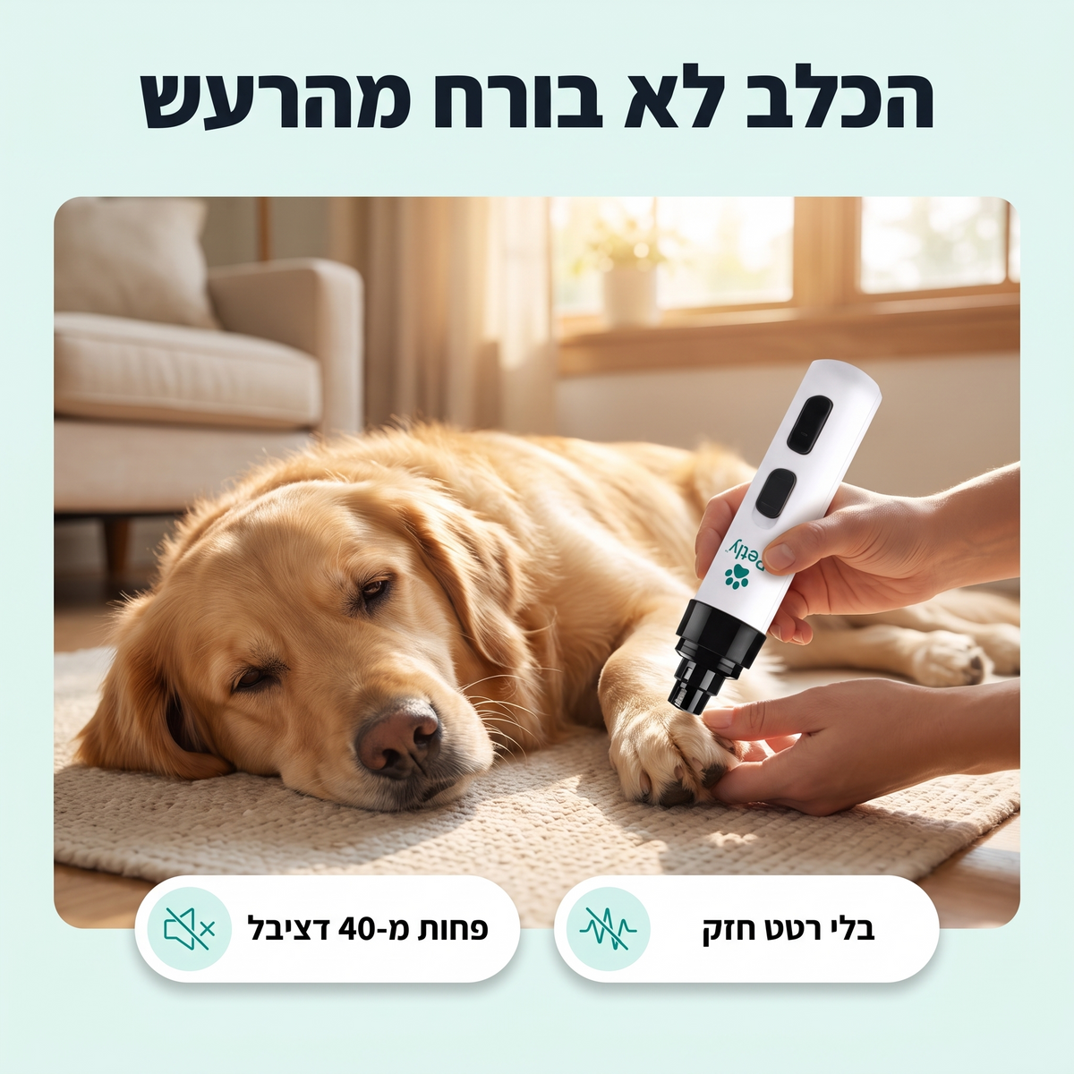 הכלב לא בורח מהרעש. פחות מ-40 דציבל, בלי רטט חזק