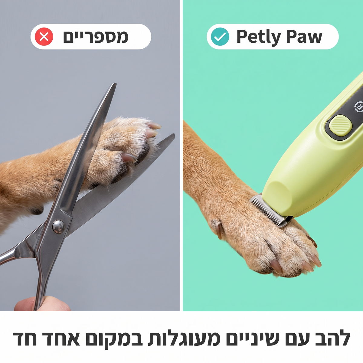 pawInfoVs