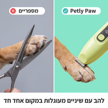 pawInfoVs